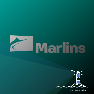 Обновление Marlins Test 2021 — новые задания и условия тестирования