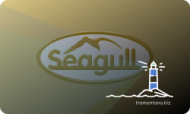 CES Seagull Test Practice — Training Cource 
